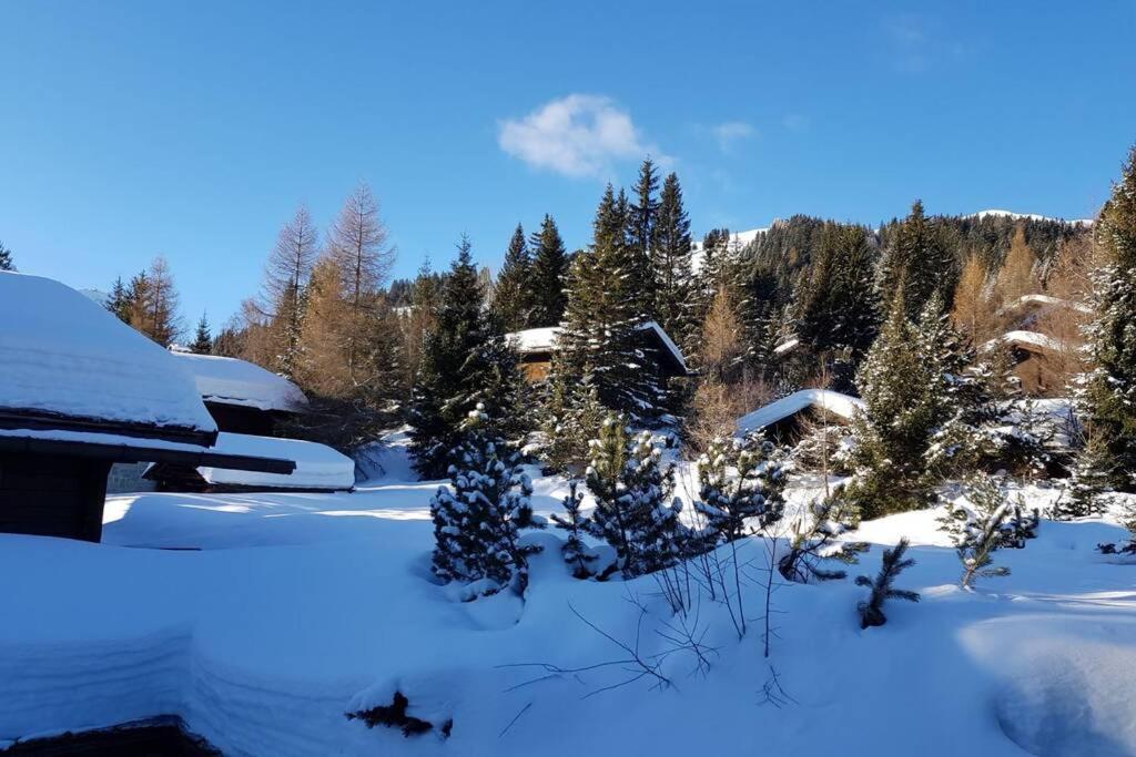 Chalet Wulli In Der Naehe Der Skianlagen Savognin Εξωτερικό φωτογραφία