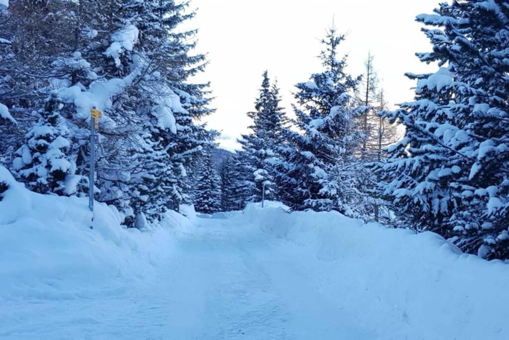 Chalet Wulli In Der Naehe Der Skianlagen Savognin Εξωτερικό φωτογραφία