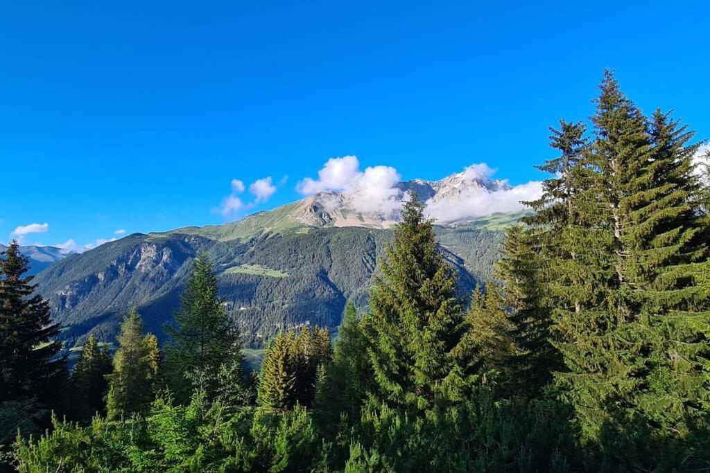 Chalet Wulli In Der Naehe Der Skianlagen Savognin Εξωτερικό φωτογραφία