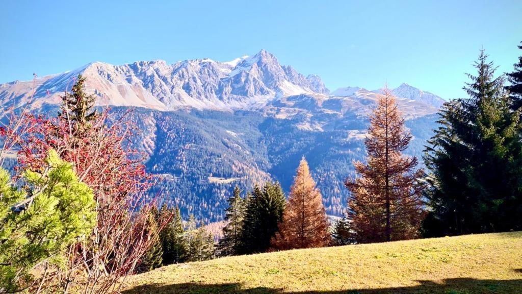 Chalet Wulli In Der Naehe Der Skianlagen Savognin Εξωτερικό φωτογραφία