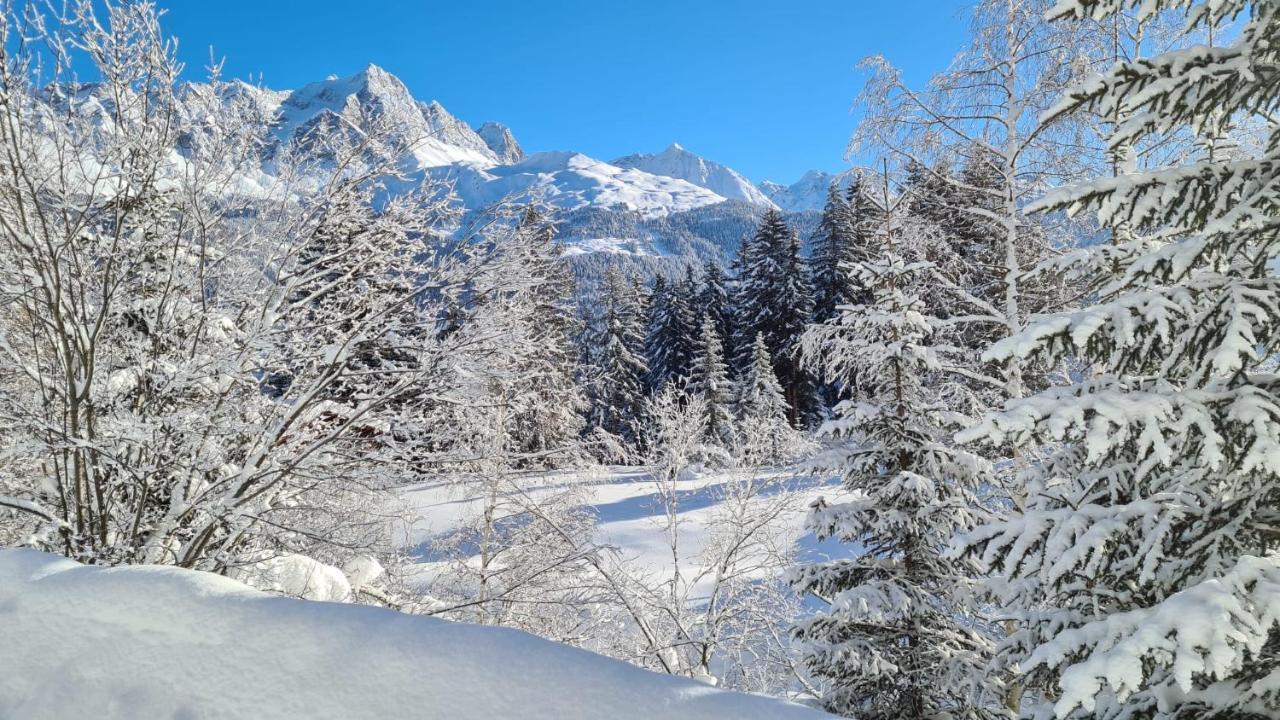Chalet Wulli In Der Naehe Der Skianlagen Savognin Εξωτερικό φωτογραφία