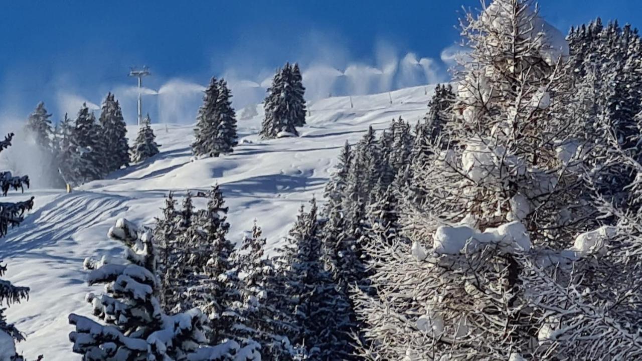 Chalet Wulli In Der Naehe Der Skianlagen Savognin Εξωτερικό φωτογραφία