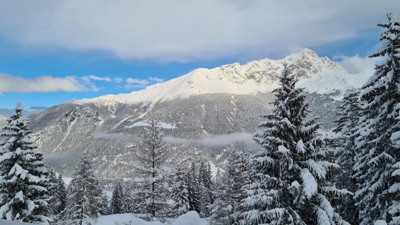 Chalet Wulli In Der Naehe Der Skianlagen Savognin Εξωτερικό φωτογραφία